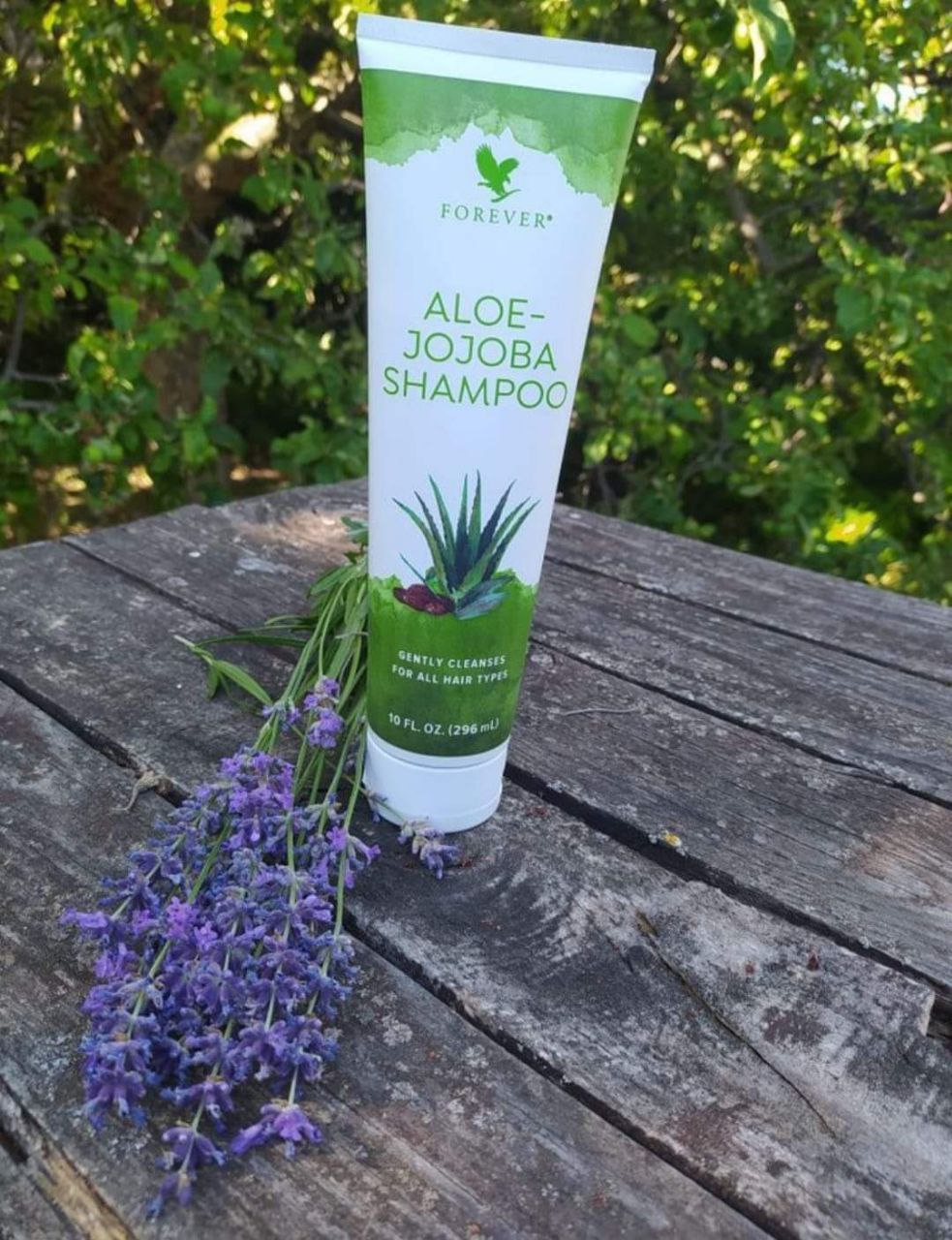 ALOE JOJOBA SHAMPOO